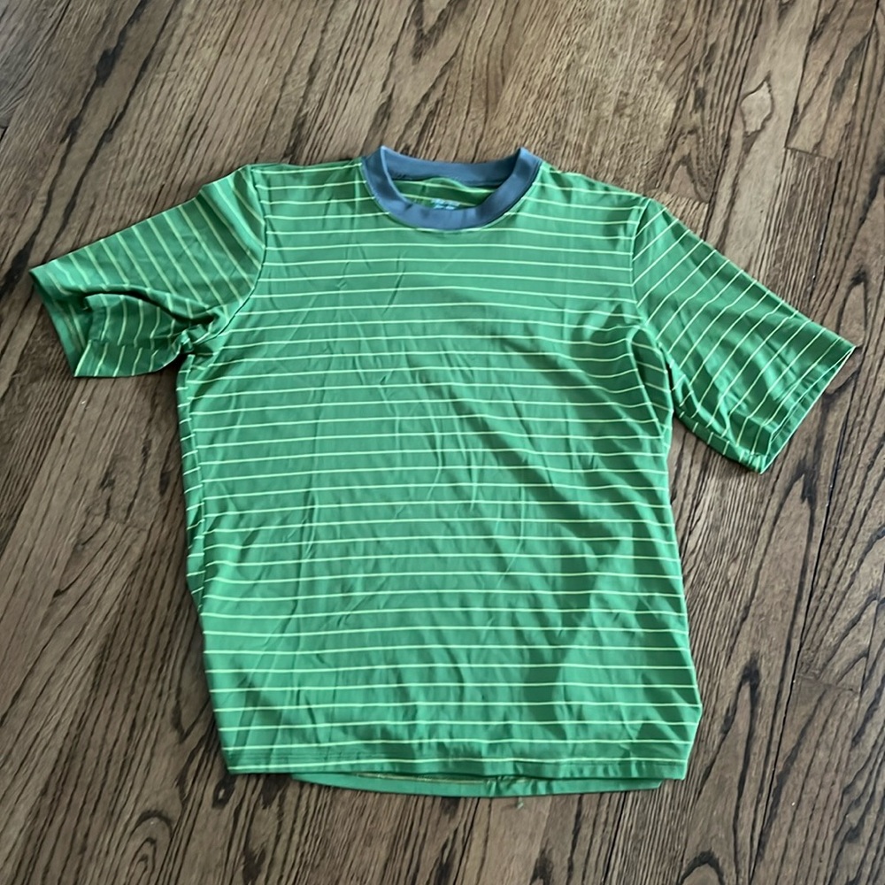 Patagonia Capilene t-shirt, size small green stripe new without tag